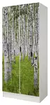 biała szafa roma - brzozowy las